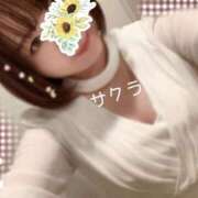 ヒメ日記 2025/12/25 18:16 投稿 サクラ ラブコレクション