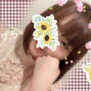 ヒメ日記 2025/12/27 05:46 投稿 サクラ ラブコレクション