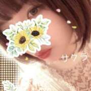 ヒメ日記 2025/12/27 13:16 投稿 サクラ ラブコレクション