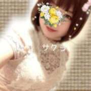 ヒメ日記 2025/12/29 19:16 投稿 サクラ ラブコレクション