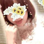 ヒメ日記 2025/12/29 19:31 投稿 サクラ ラブコレクション