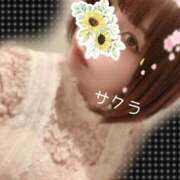 ヒメ日記 2025/12/29 20:01 投稿 サクラ ラブコレクション