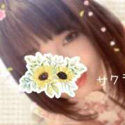 ヒメ日記 2025/12/31 23:31 投稿 サクラ ラブコレクション