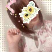 ヒメ日記 2025/12/31 23:46 投稿 サクラ ラブコレクション