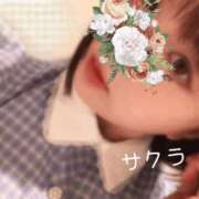 ヒメ日記 2026/01/02 22:01 投稿 サクラ ラブコレクション