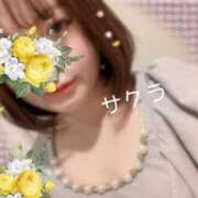 ヒメ日記 2026/01/03 05:46 投稿 サクラ ラブコレクション