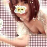 ヒメ日記 2026/01/03 21:31 投稿 サクラ ラブコレクション