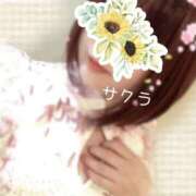 ヒメ日記 2026/01/04 10:31 投稿 サクラ ラブコレクション