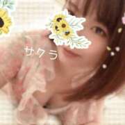 ヒメ日記 2026/01/04 21:31 投稿 サクラ ラブコレクション