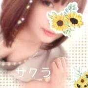 ヒメ日記 2026/01/17 05:46 投稿 サクラ ラブコレクション