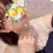 ヒメ日記 2026/01/17 21:46 投稿 サクラ ラブコレクション