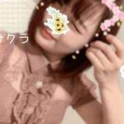 ヒメ日記 2026/01/18 13:31 投稿 サクラ ラブコレクション