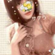 ヒメ日記 2026/01/19 14:46 投稿 サクラ ラブコレクション