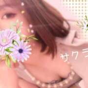 ヒメ日記 2026/02/07 05:46 投稿 サクラ ラブコレクション