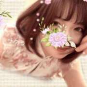 ヒメ日記 2026/02/07 14:31 投稿 サクラ ラブコレクション