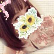 ヒメ日記 2026/02/07 19:01 投稿 サクラ ラブコレクション