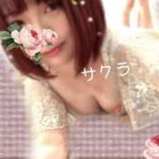 ヒメ日記 2026/02/10 16:01 投稿 サクラ ラブコレクション