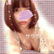 ヒメ日記 2026/02/10 19:46 投稿 サクラ ラブコレクション