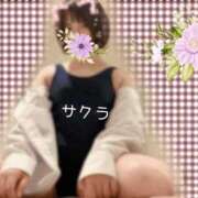 ヒメ日記 2026/02/11 05:46 投稿 サクラ ラブコレクション