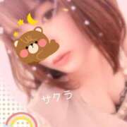 ヒメ日記 2026/02/11 09:31 投稿 サクラ ラブコレクション