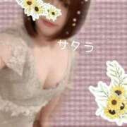 ヒメ日記 2026/02/12 00:01 投稿 サクラ ラブコレクション