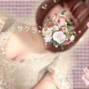 ヒメ日記 2026/02/12 00:31 投稿 サクラ ラブコレクション