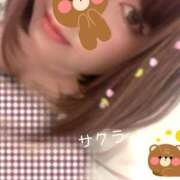 ヒメ日記 2026/02/13 05:46 投稿 サクラ ラブコレクション