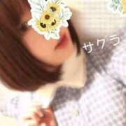 ヒメ日記 2026/02/13 11:01 投稿 サクラ ラブコレクション