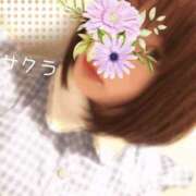 ヒメ日記 2026/02/13 15:16 投稿 サクラ ラブコレクション