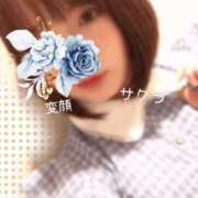 ヒメ日記 2026/02/13 15:31 投稿 サクラ ラブコレクション