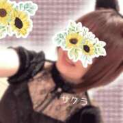 ヒメ日記 2026/02/14 11:31 投稿 サクラ ラブコレクション