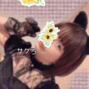 ヒメ日記 2026/02/14 13:31 投稿 サクラ ラブコレクション