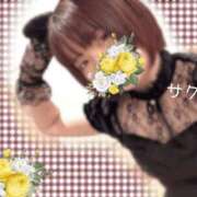 ヒメ日記 2026/02/14 17:46 投稿 サクラ ラブコレクション