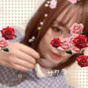 ヒメ日記 2026/02/16 01:16 投稿 サクラ ラブコレクション