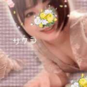 ヒメ日記 2026/02/25 09:16 投稿 サクラ ラブコレクション