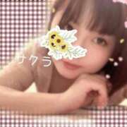 ヒメ日記 2026/03/06 07:16 投稿 サクラ ラブコレクション