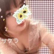 ヒメ日記 2026/03/06 07:31 投稿 サクラ ラブコレクション