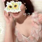 ヒメ日記 2026/03/06 08:16 投稿 サクラ ラブコレクション