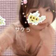 ヒメ日記 2026/04/14 06:16 投稿 サクラ ラブコレクション