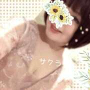 ヒメ日記 2026/04/14 11:16 投稿 サクラ ラブコレクション