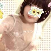 ヒメ日記 2026/04/14 16:16 投稿 サクラ ラブコレクション