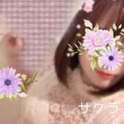 ヒメ日記 2026/04/15 08:31 投稿 サクラ ラブコレクション