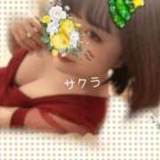 ヒメ日記 2026/04/15 08:46 投稿 サクラ ラブコレクション