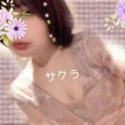 ヒメ日記 2026/04/15 13:31 投稿 サクラ ラブコレクション