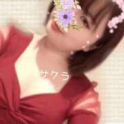 ヒメ日記 2026/04/15 15:46 投稿 サクラ ラブコレクション