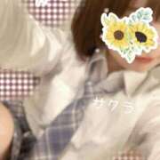 ヒメ日記 2026/04/16 05:16 投稿 サクラ ラブコレクション