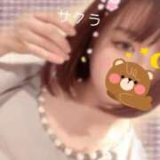 ヒメ日記 2026/04/17 05:46 投稿 サクラ ラブコレクション