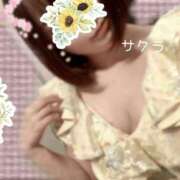 ヒメ日記 2026/04/17 06:01 投稿 サクラ ラブコレクション