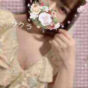 ヒメ日記 2026/04/17 06:16 投稿 サクラ ラブコレクション