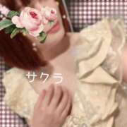 ヒメ日記 2026/04/17 06:31 投稿 サクラ ラブコレクション